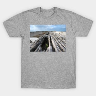 Tenacious Life T-Shirt